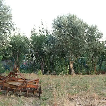 Casa Do Alambique 아파트