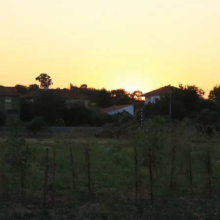 Casa Do Alambique * 토마르