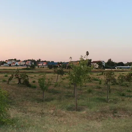 Casa Do Alambique * 토마르