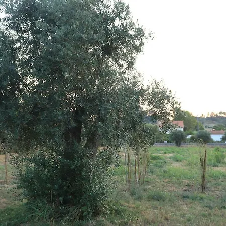 Casa Do Alambique * Tomar