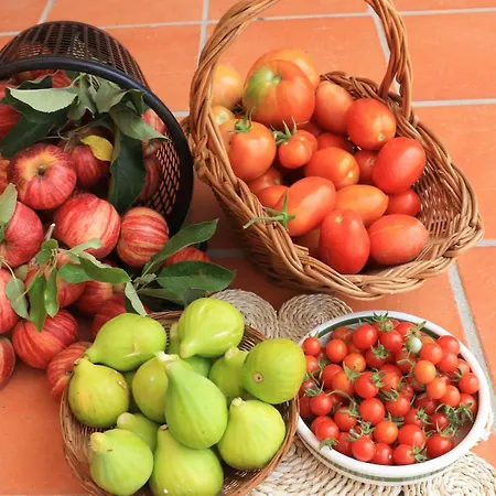 Apartman Casa Do Alambique *