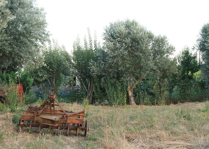 Casa Do Alambique Apartment