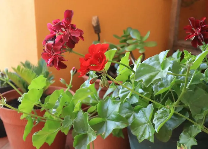 Apartment Casa Do Alambique *