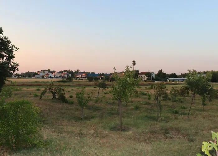 Casa Do Alambique * Tomar