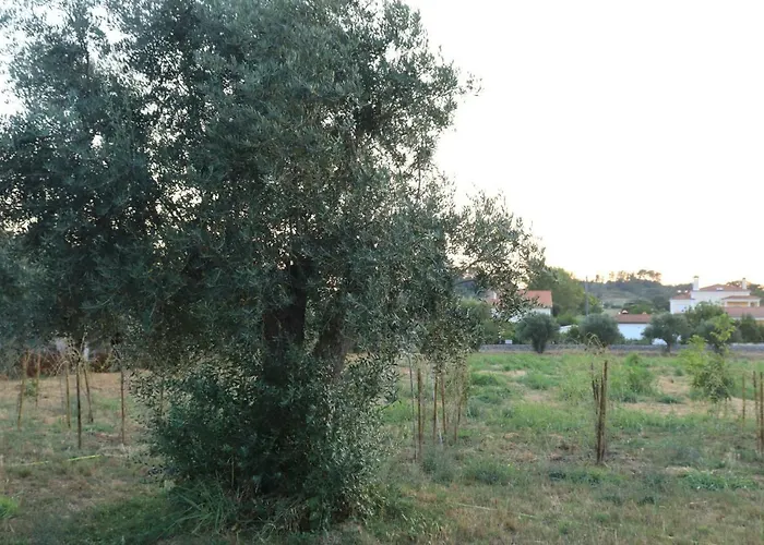 Casa Do Alambique * Tomar
