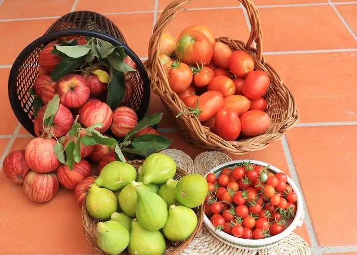 Appartamento Casa Do Alambique *